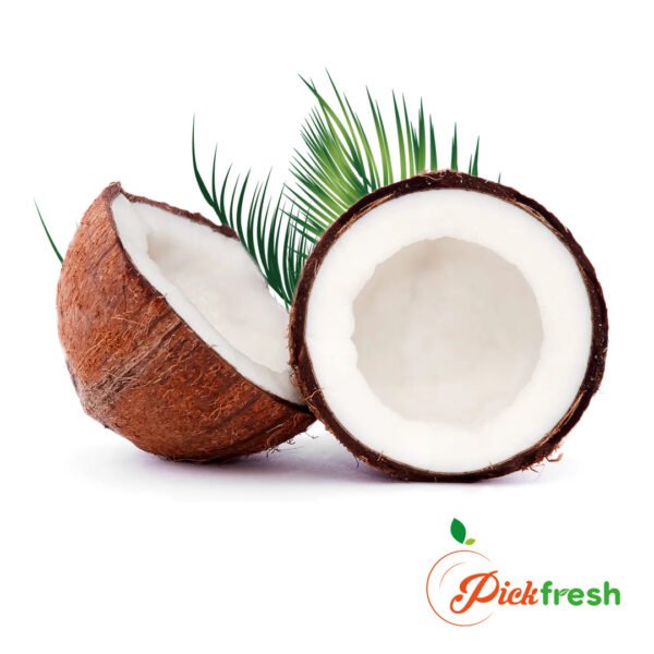 Coconut