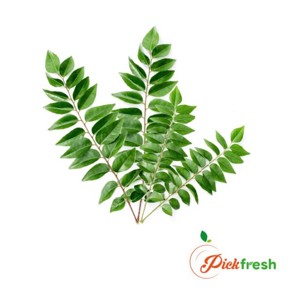 Curry Leaves