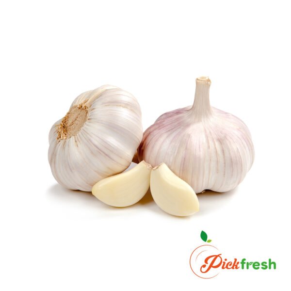 Garlic